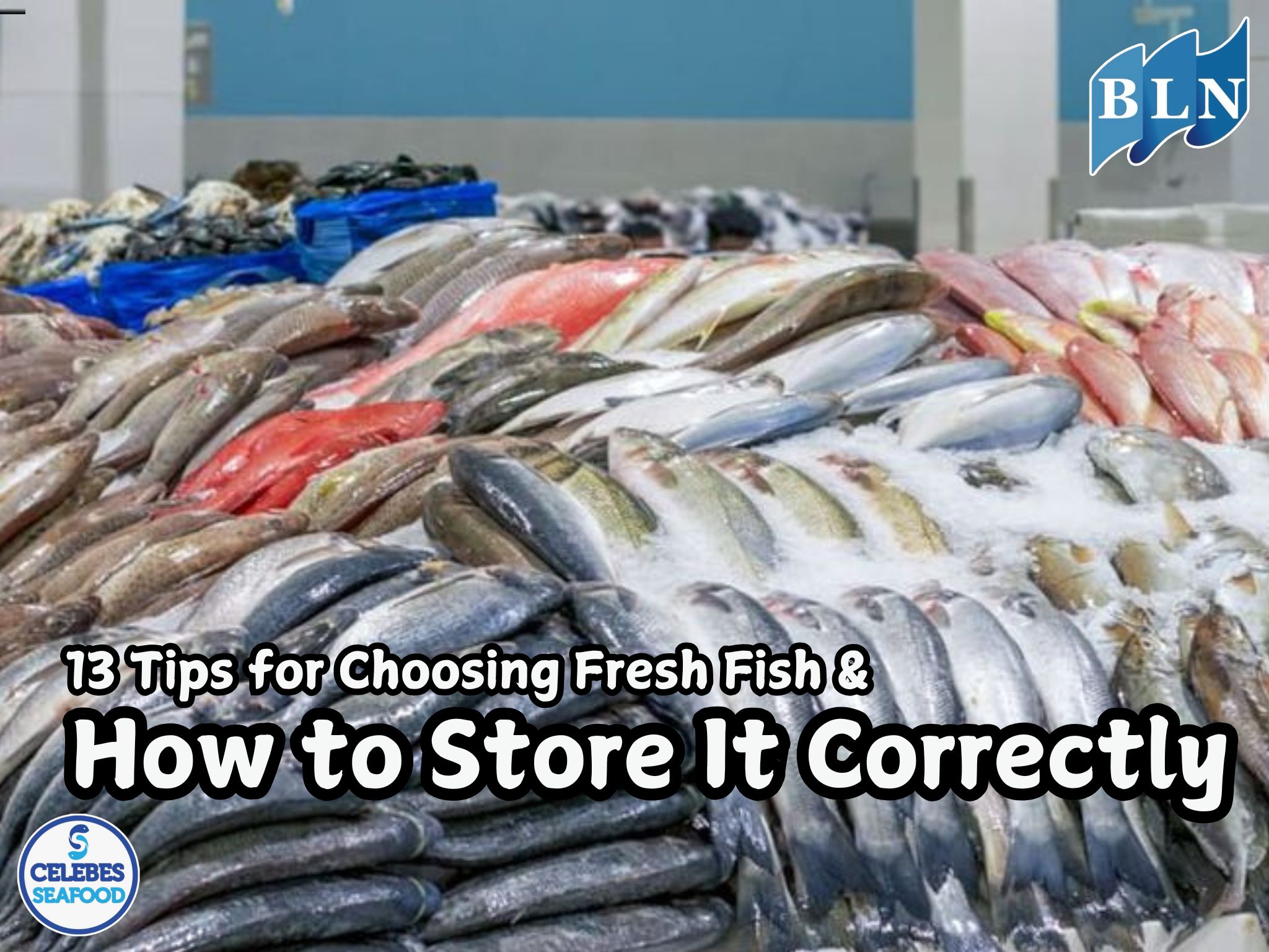 13 Tips for Choosing Fresh Fish & How to Store It Correctly